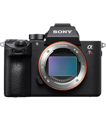 Sony Alpha 7R III / ILCE-7RM3: Amazon.co.uk: Electronics & Photo